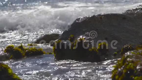 阴天智利海岸的潮汐舞阿尔加罗博慢动作视频的预览图