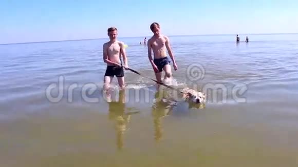 两个年轻人和狗在海里散步视频的预览图