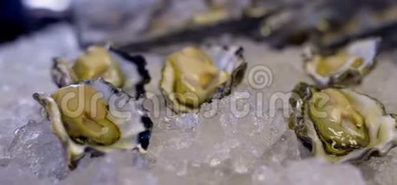 澳大利亚牡蛎在冰上视频的预览图