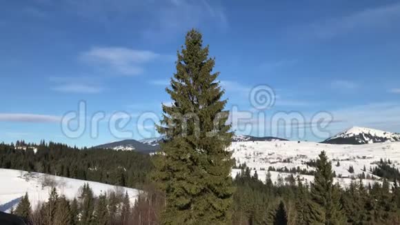 喀尔巴阡山在乌克兰下雪的冬天视频的预览图