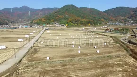 在韩国亚洲米尔扬庆尚南道的Wiryangji水库对稻田的青贮视频的预览图