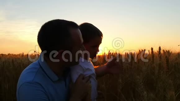 农夫和他的儿子对小麦的收获很满意在日落的背景下在田野上爸爸和爸爸视频的预览图