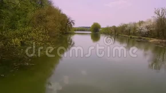 环绕着美丽树木的河流的鸟瞰图视频的预览图