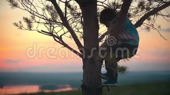 在猩红的夕阳下小男孩在温暖的一天爬上树视频的预览图