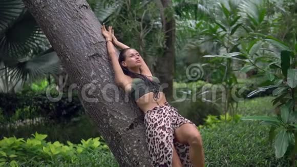 黑黑肤色黑黑肤色的黑黑肤色的女人帕雷奥在一棵大树上摆出性感的姿势视频的预览图