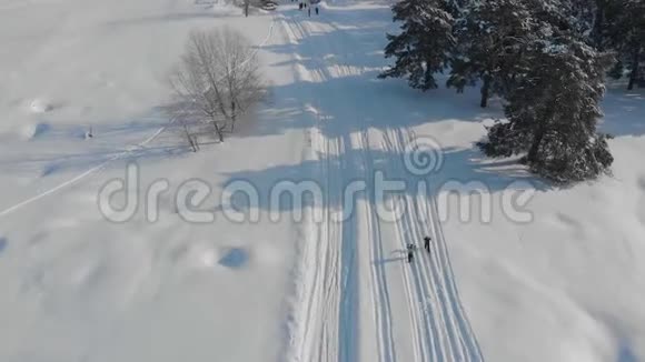 鸟瞰越野滑雪男子越野滑雪在一个可爱的阳光明媚的冬日视频的预览图
