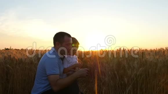 一个农夫和他的儿子对小麦的收成很满意在日落的背景下在地上视频的预览图