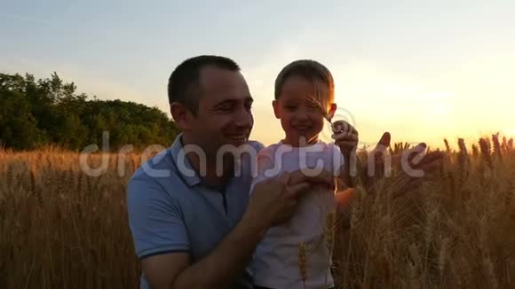 农夫和他的儿子对小麦的收获很满意在日落的背景下在田野上这就是视频的预览图