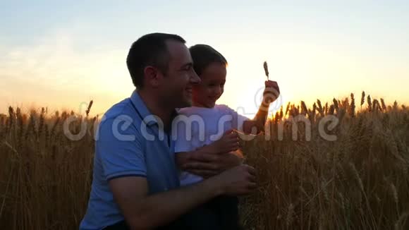 一个农夫和他的儿子对小麦的收获感到满意在日落的背景下在田野上爸爸和爸爸视频的预览图