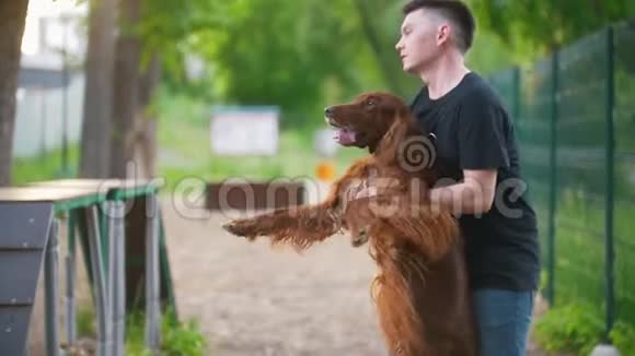 年轻的白种人与他的狗种爱尔兰红种在夏季公园的手臂旋转视频的预览图