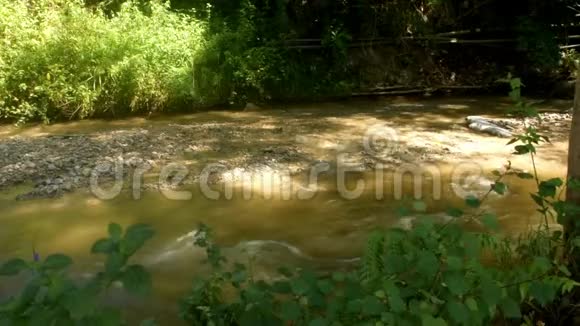 雨季的帕尼基河美景视频的预览图