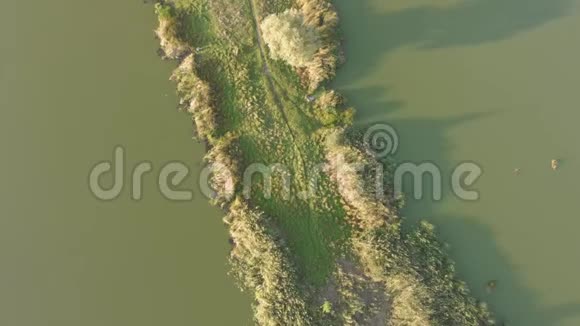夏天乘飞机飞越河流和森林视频的预览图