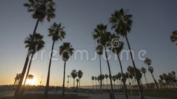 威尼斯海滩海洋附近棕榈树的时间间隔4k视频的预览图