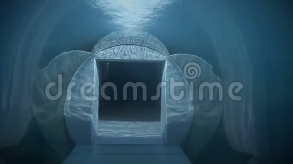 女孩穿过水下隧道视频的预览图