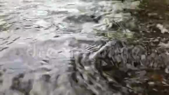把河水中干净的水收起来视频的预览图