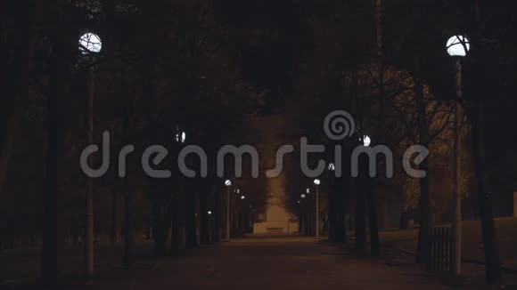 秋天的小巷晚上公园里有树和路灯美丽的城市景观视频的预览图