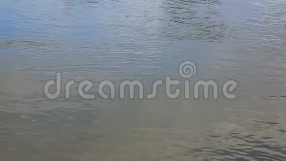河流水面视频的预览图