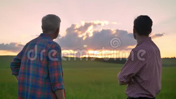 老父亲和成年儿子站在一起看日落站在麦地或黑麦地视频的预览图