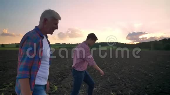 老父亲和成年儿子在耕地上散步的侧景背景带日落的美丽景观视频的预览图