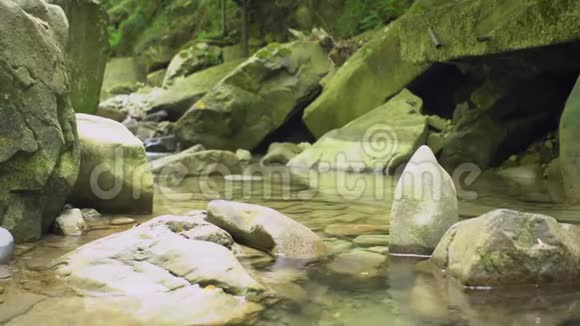 山河两岸有大片的野石丛林中的天然公园视频的预览图