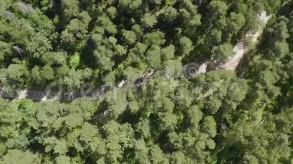 日本jdm黑车在乡间公路上穿过绿色森林视频的预览图