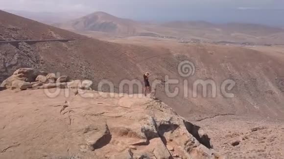 小女孩和她的小狗一起看火山山山顶的全景视频的预览图