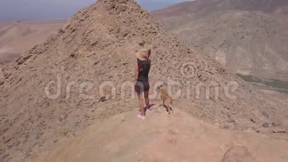 小女孩和她的小狗一起看火山山山顶的全景视频的预览图