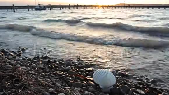 波滩壳水湖视频的预览图