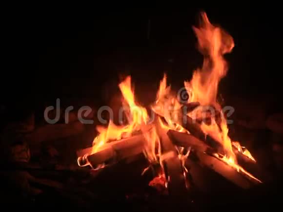 夜间中度篝火视频的预览图