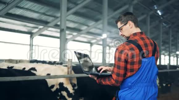 男工正在奶牛场操作一台笔记本电脑视频的预览图