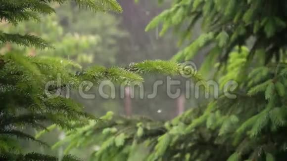 关闭穆特恩雨的录像慢动作视频的预览图