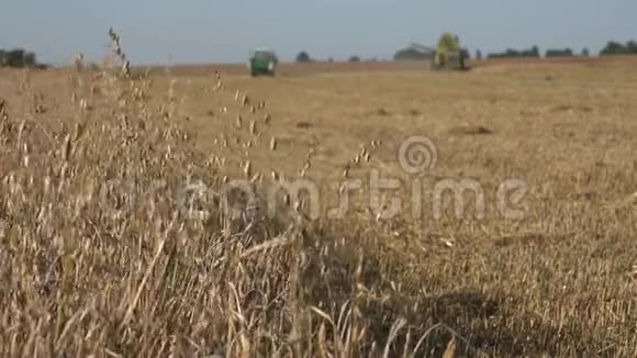 成熟的燕麦和联合收割卸粮到拖车改变焦点4K视频的预览图