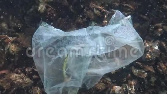 塑料袋在海里海鱼和动物的杀手视频的预览图