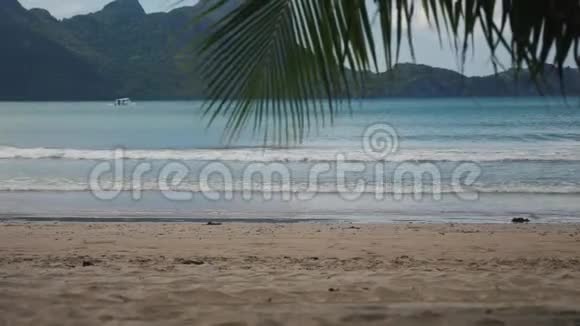 菲律宾热带海滩上的棕榈树下视频的预览图