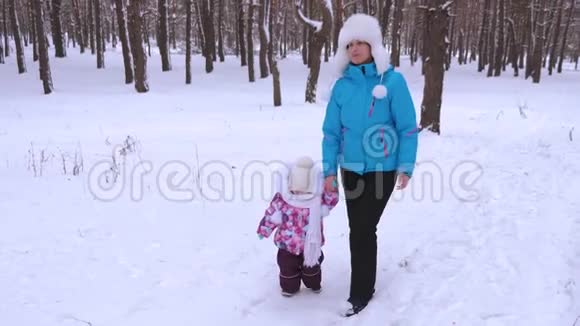 在寒冷的冬日妈妈和小宝宝在针叶林公园里沿着下雪的冬天的散步一家人带着小孩散步视频的预览图