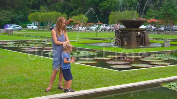 一个年轻的女人和她的儿子在热带公园里看着盛开的睡莲视频的预览图