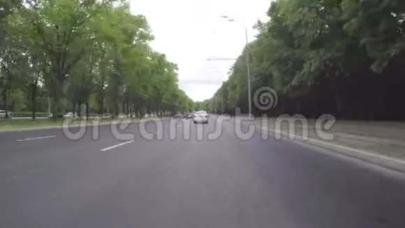 汽车在穿过公园的城市街道上行驶从车身看第一人称视频的预览图