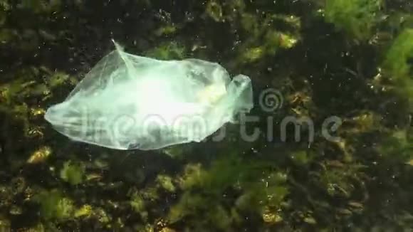垃圾在水中聚乙烯袋杀死海洋动物螃蟹死亡视频的预览图