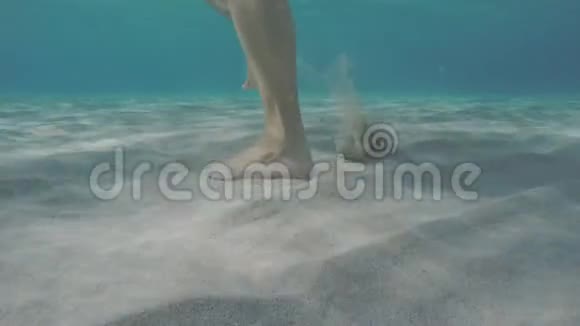 水下摄像机追逐视频的预览图