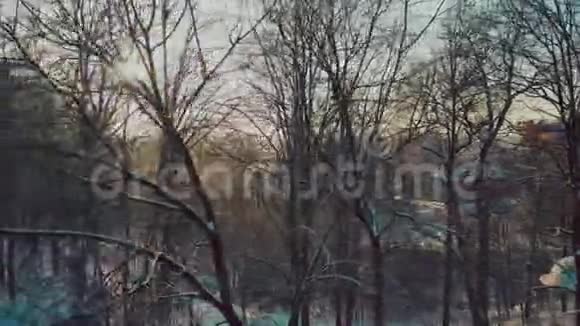 白雪皑皑的公园里的树木迎着灿烂的阳光视频的预览图