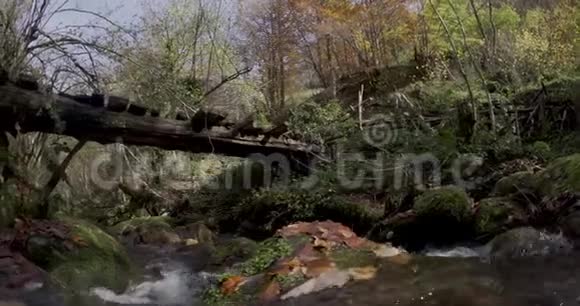 靠近河道的横向移动可以看到一座古老的木桥视频的预览图