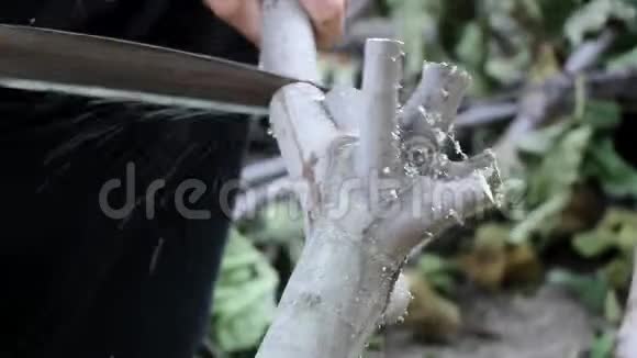近距离拍摄一个人用锯割树枝的镜头慢动作视频的预览图