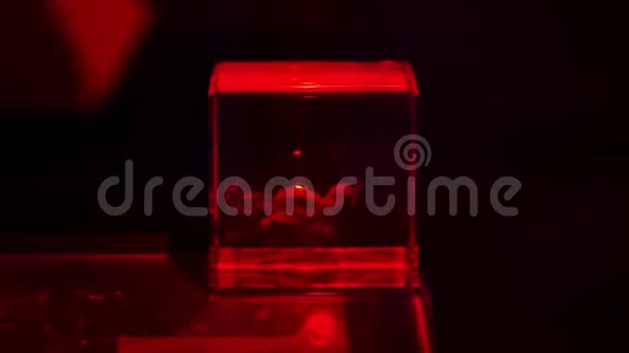 激光打标机3D型玻璃蚀刻视频的预览图