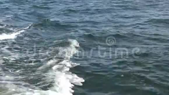水波船航道水上泡沫视频的预览图