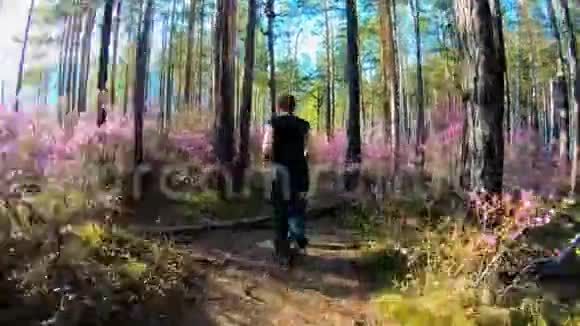 在阳光明媚的日子里女孩沿着一条森林小径奔跑在树木和粉红色的花朵之间视频的预览图