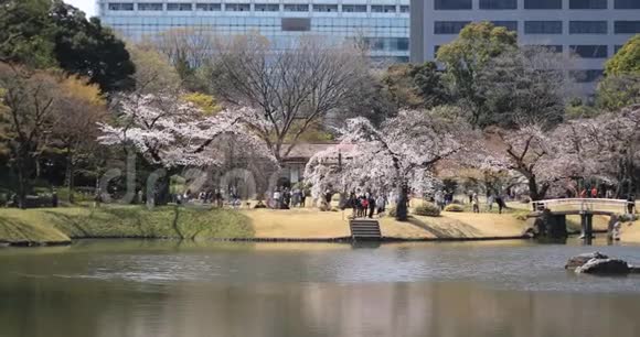 东京KowishikawaKourakuen公园樱花手提式宽拍视频的预览图