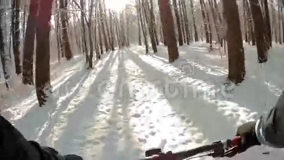 在雪地森林里骑自行车视频的预览图
