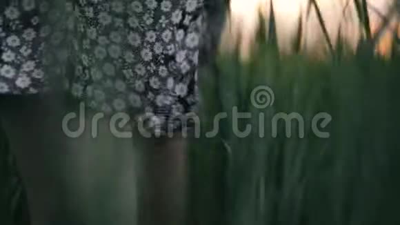 日落时的女孩女人穿过田野日落视频的预览图