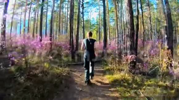 在阳光明媚的日子里女孩沿着一条森林小径奔跑在树木和粉红色的花朵之间视频的预览图