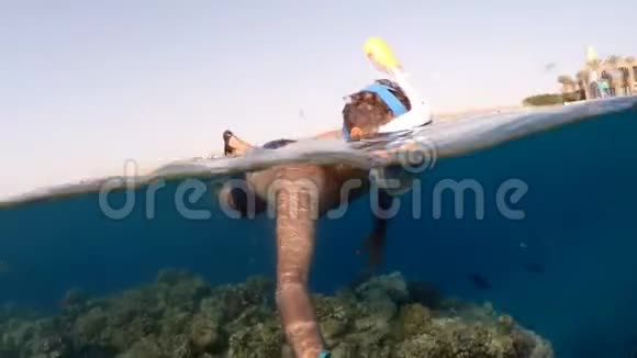 斯诺克尔游泳裂景红海埃及视频的预览图